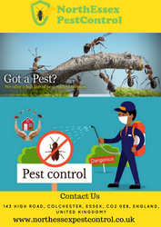 Do You Want Pest control Contact Us 07487351351 | North Essex Pest
