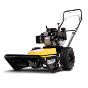 Choosing the perfect Lawn mower for your garden